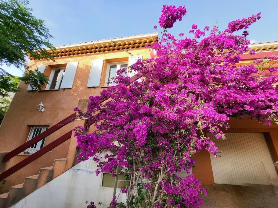 Villa La Garde  Eksteriør billede